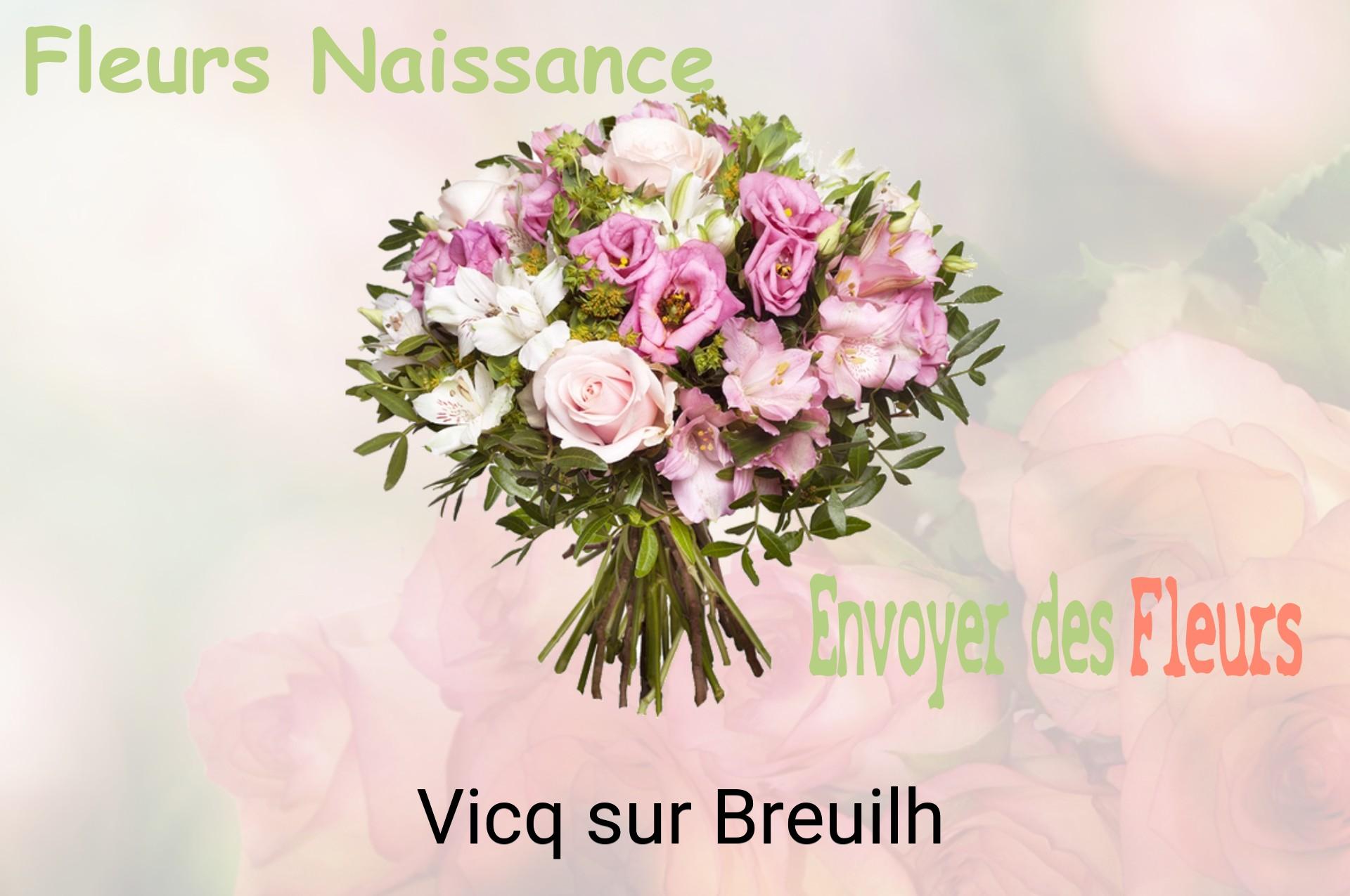 Bouquet de fleurs de naissance livré à Vicq-sur-Breuilh