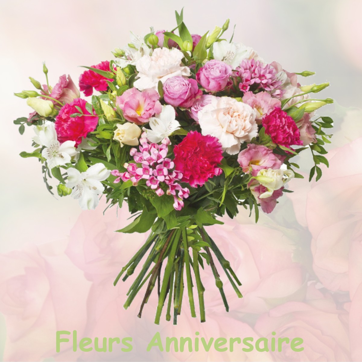 fleurs anniversaire VICQ-SUR-BREUILH